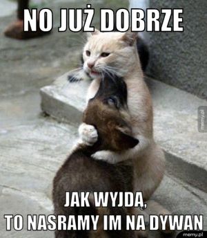 http://memy.pl/show/medium/uploads/Post/62240/14633378532607.jpg