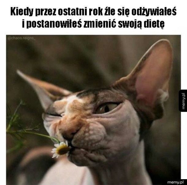 Kiedy zmieniasz swoją dietę