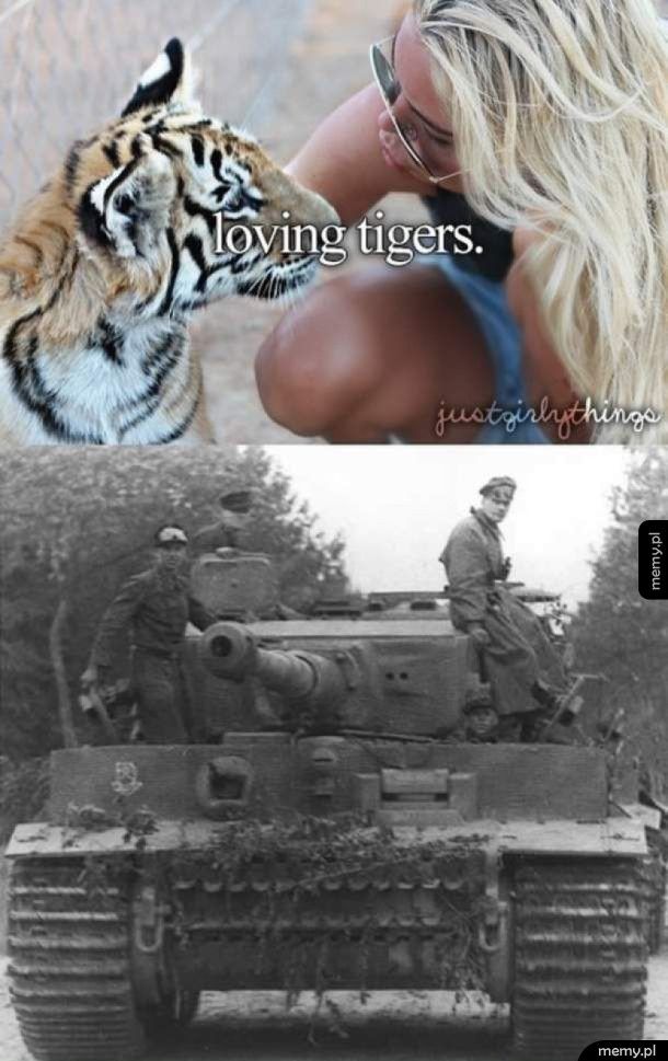 Kochane Tygrysy