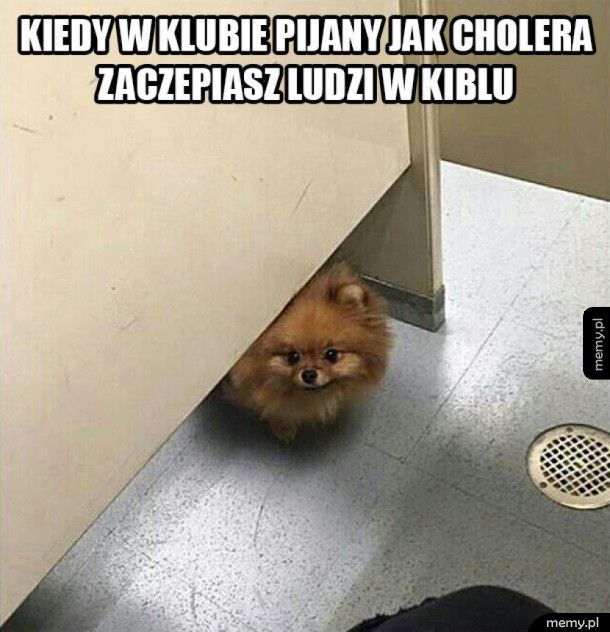 Kiedy upiję się w klubie