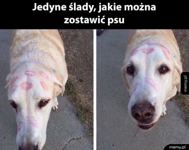 Zostawiajcie tylko takie!