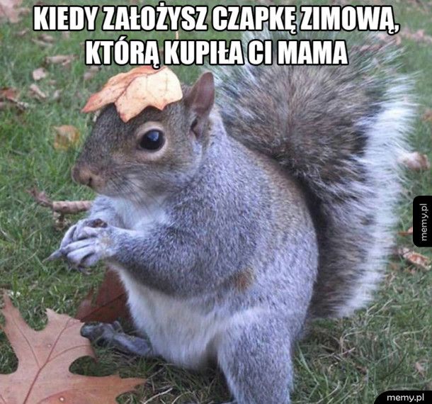 Czapka od mamy