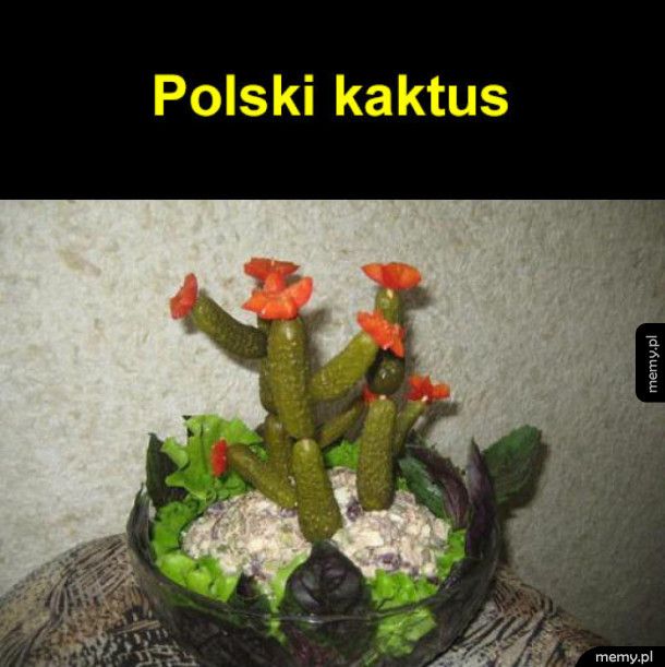 Polski kaktus