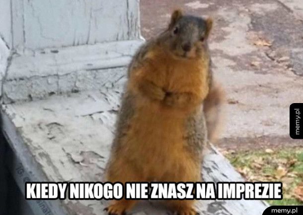 Kiedy nikogo nie znasz na imprezie