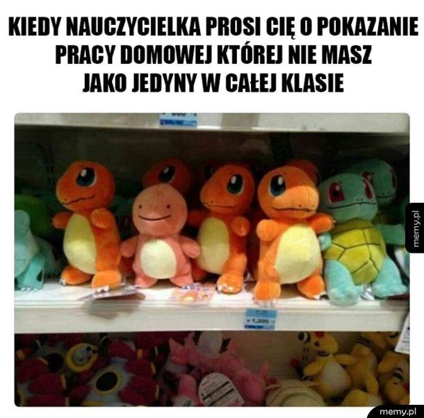 Nie mam pracy domowej