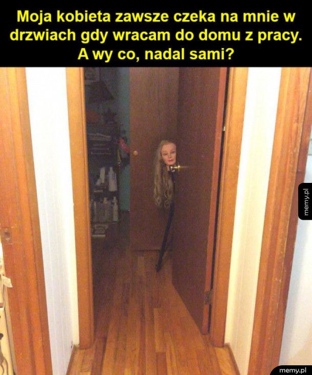 Nawet mi was nie żal