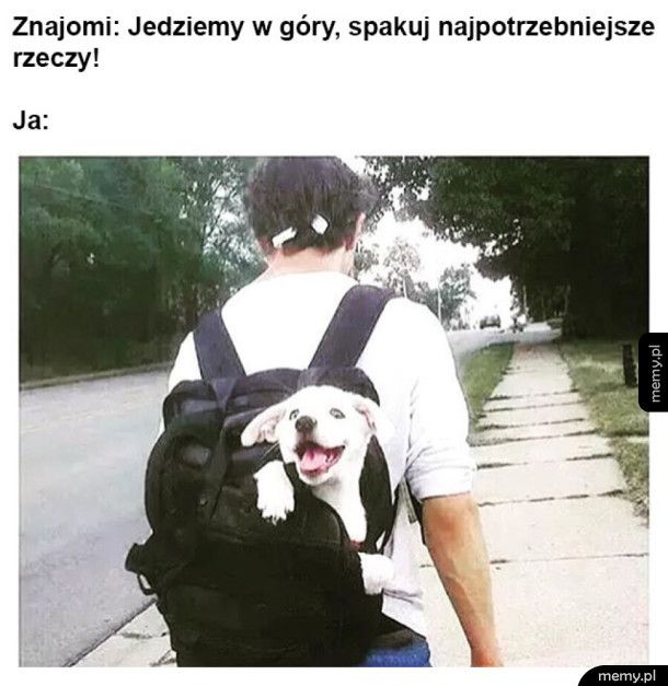 Najpotrzebniejsze rzeczy