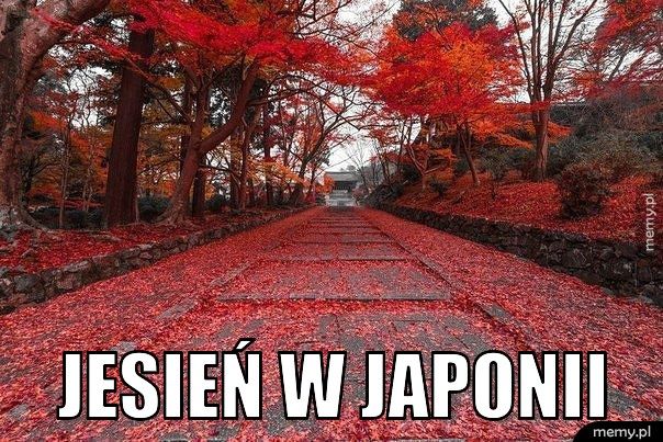  Jesień w Japonii 