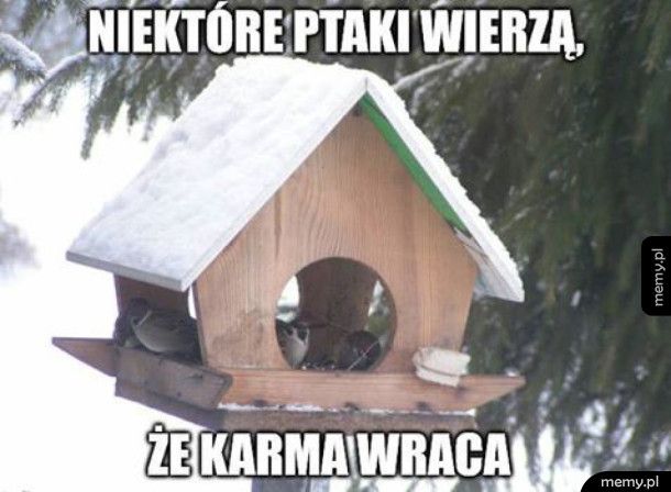 Karma wraca