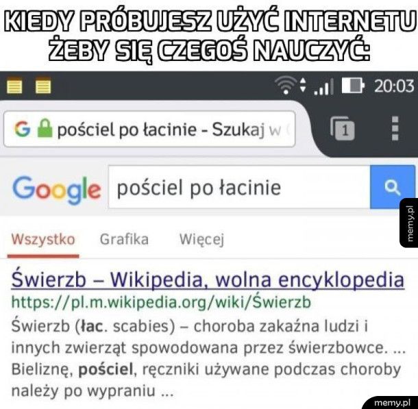 Internecie, internecie powiedz mi