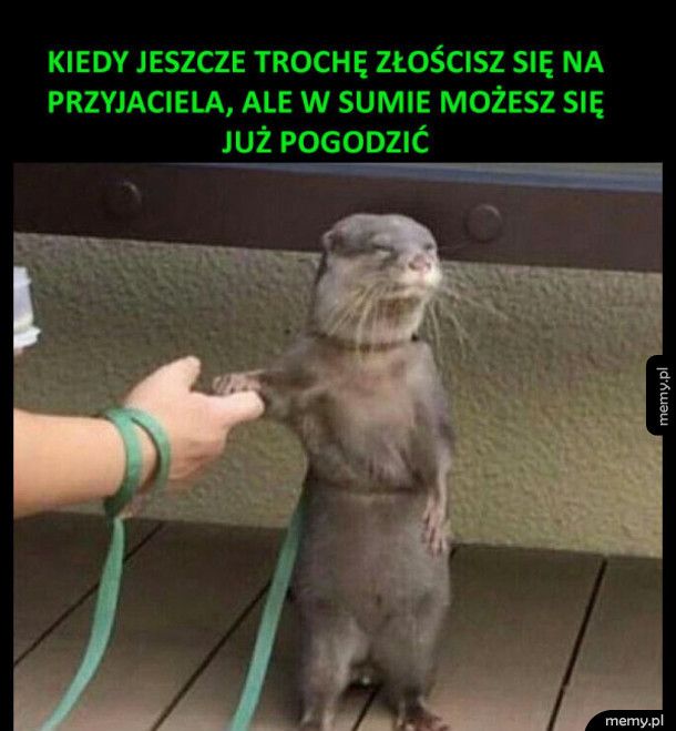 Pogodzili się