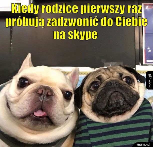 Pierwszy raz