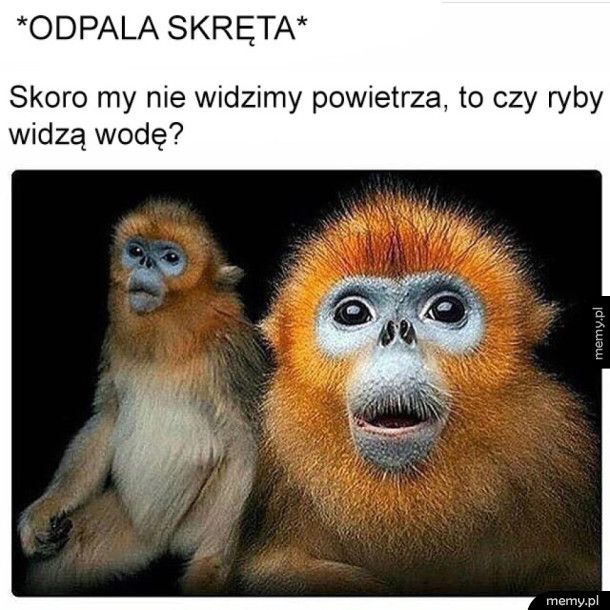 Czy ryby widzą wodę?