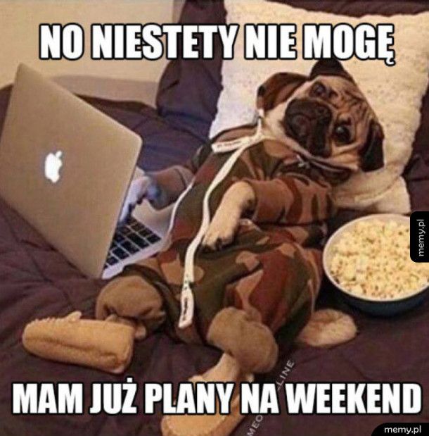 Plany na weekend - Memy.pl