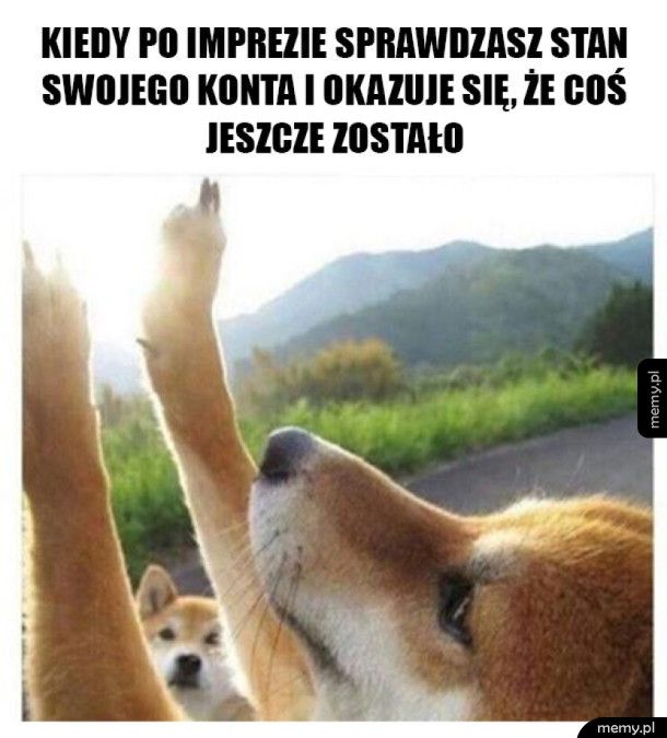 Jeszcze jest odrobina kasy