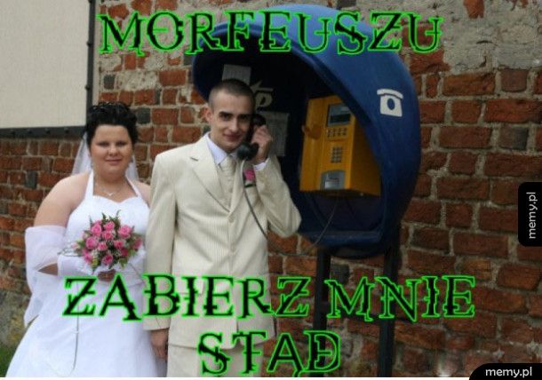 Morfeusz?