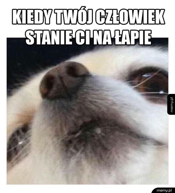 Zapamiętam tą zdradę