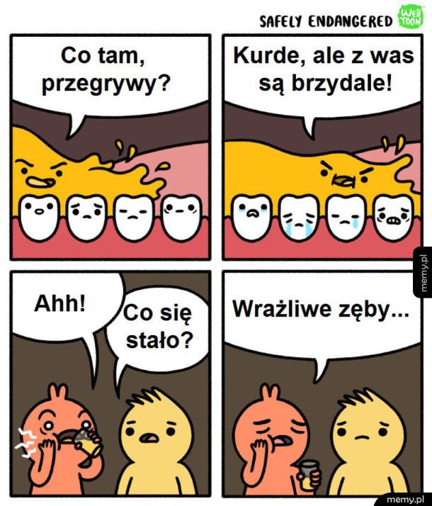 Co tam przegrywy