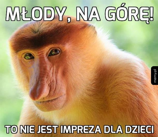 Sio poszedł już!