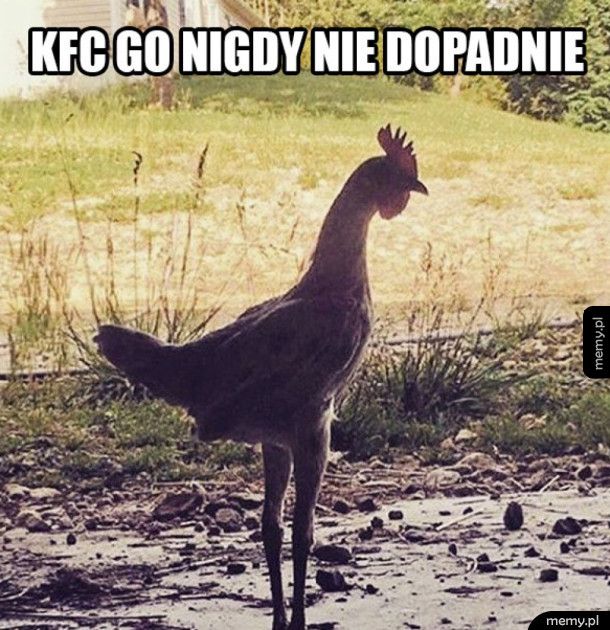 KFC go nie dopadnie