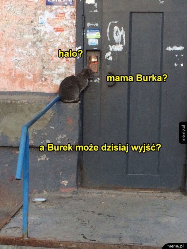 Mama burka