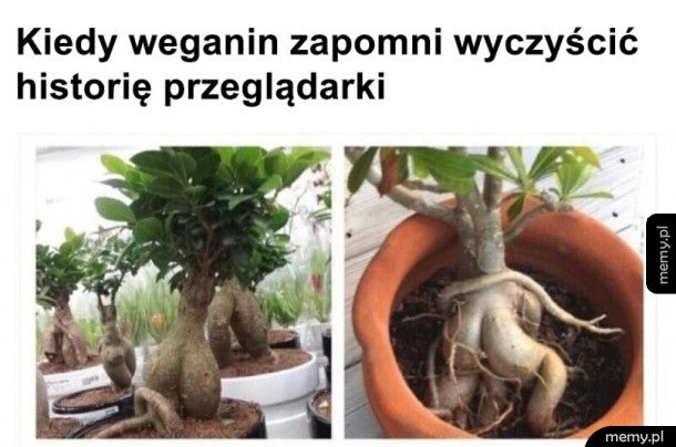 Wegański fap