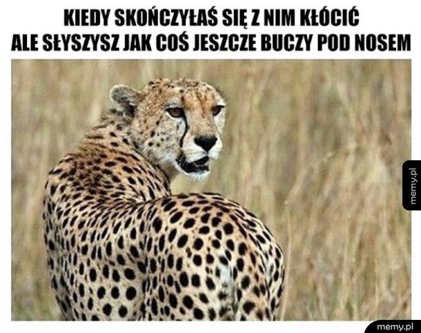 Co tam jeszcze mówisz?