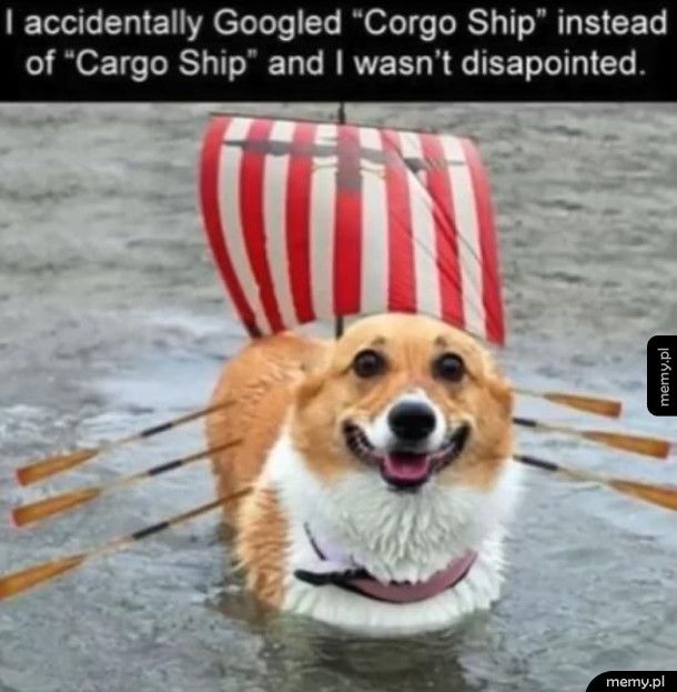 Corgo ship