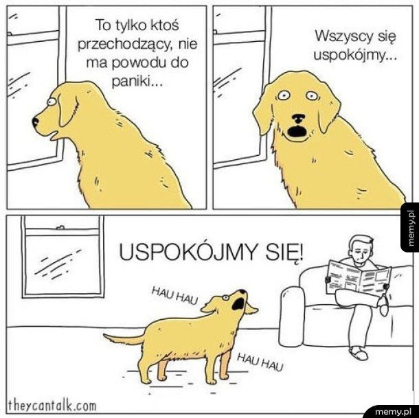 Uspokójmy się