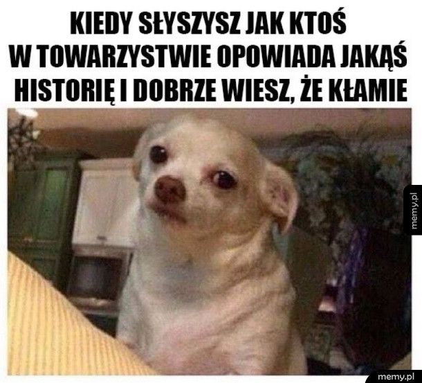 Serio ziomek?