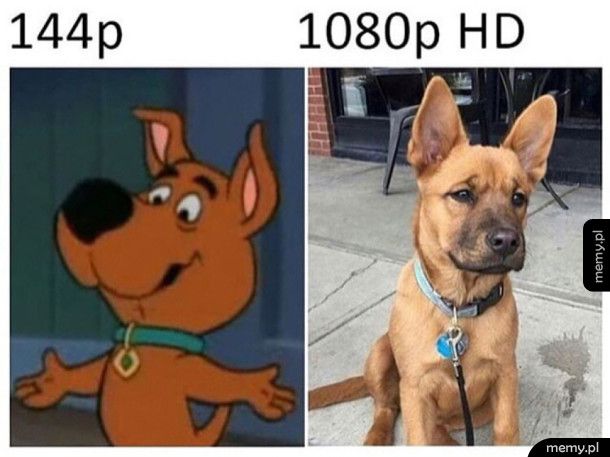 Scrappy-Doo w wersji HD