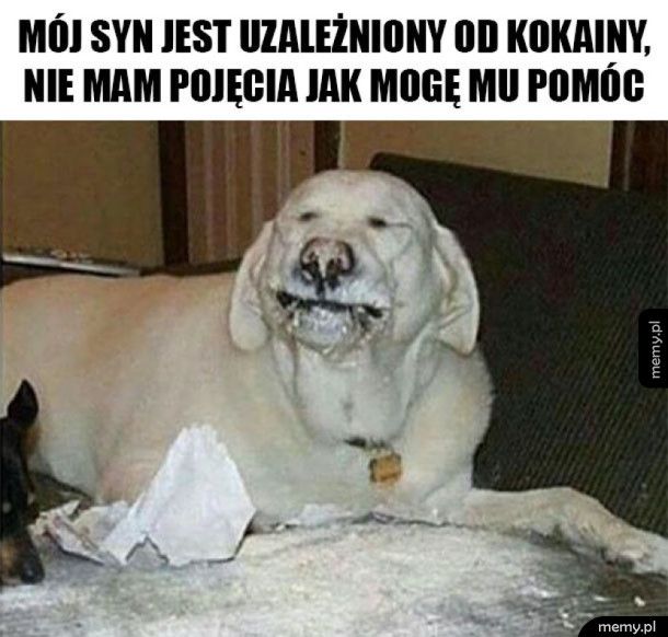 Jak mogę mu pomóc