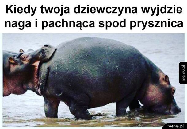 O tak kochanie