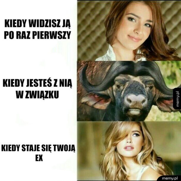 Ewolucja związku