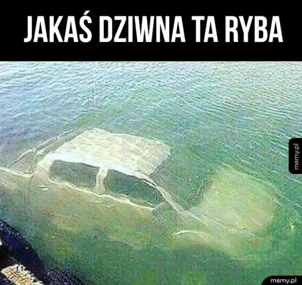 Dziwna ryba