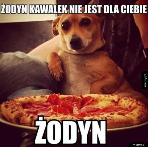 Żodyn