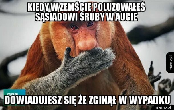 Trochę przesadziłem