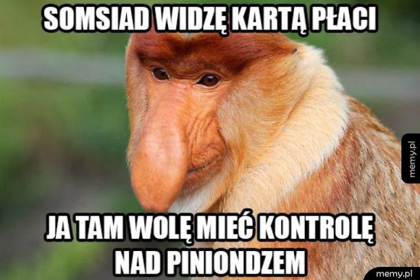 Kontrola nad piniondzem