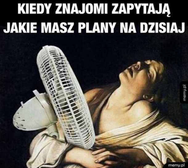 Plan na dzisiaj