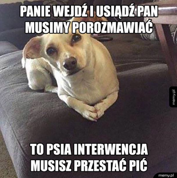 Psia interwencja