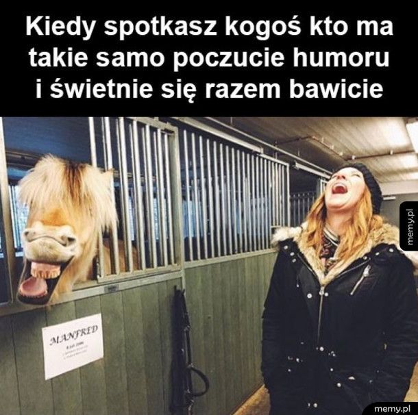 Poczucie humoru