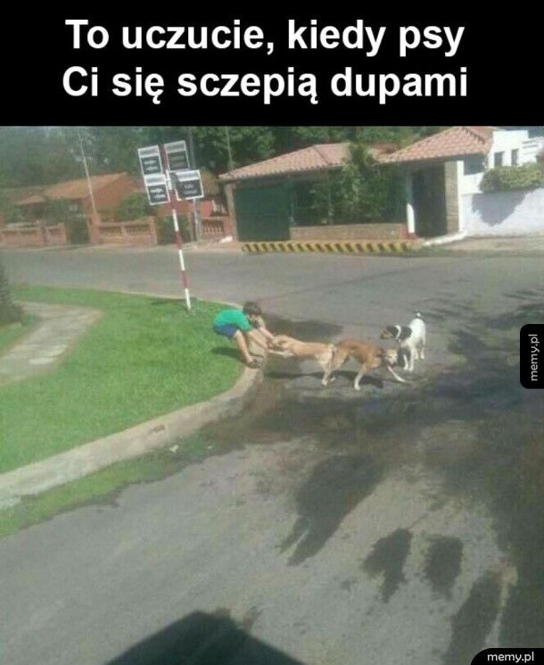 Ten uczuć