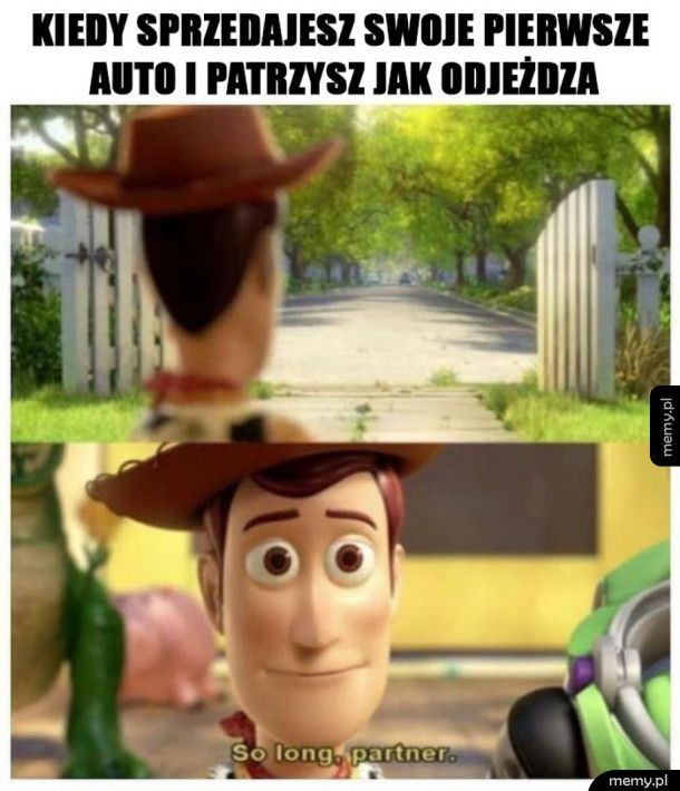 Żegnaj przyjacielu