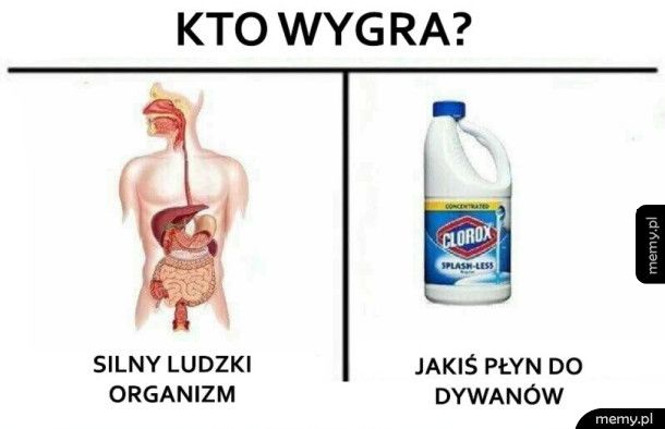 Kto wygra?