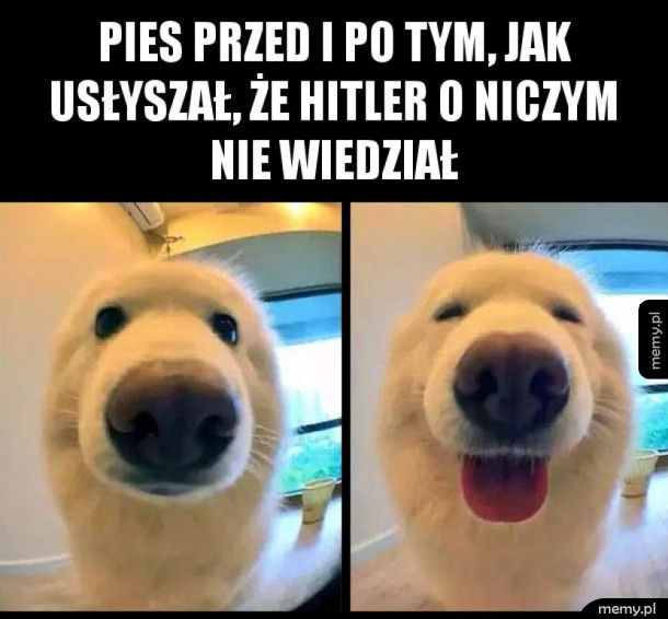 Nie wiedział!