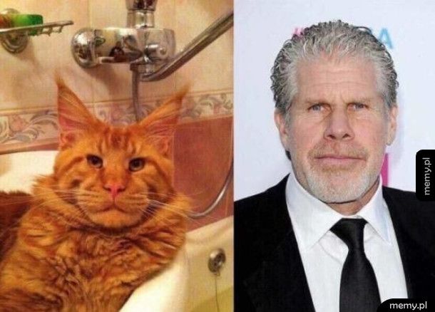 Ron Perlman