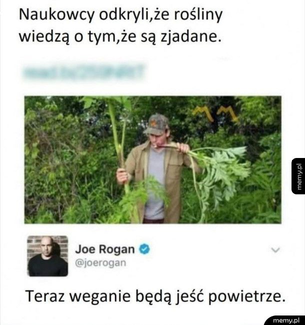 Nie ma innego wyjścia