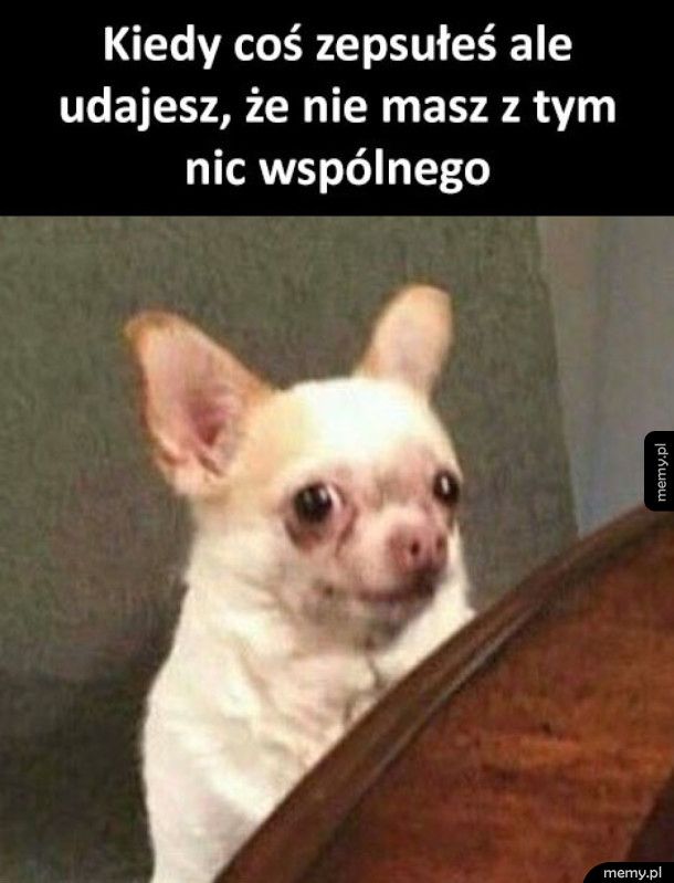 To się samo zrobiło