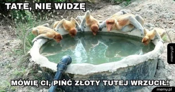 Tate, nie widzę