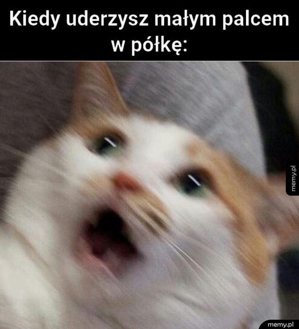 Kiedy uderzysz małym palcem w półkę